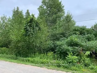 Vacant Land in Kawartha Lakes