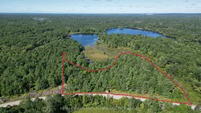 County Road 46, Havelock-belmont-methuen, On, K0l 1z0