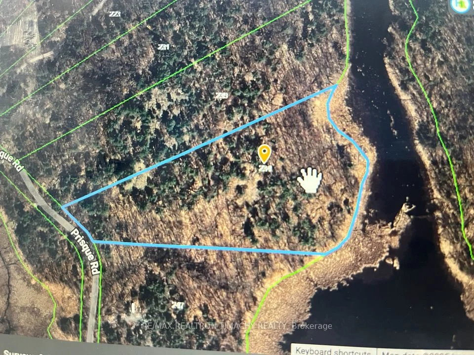 243 PRISQUE Road, Georgian Bay, ON L0K 1S0