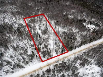 Vacant Land in Armour