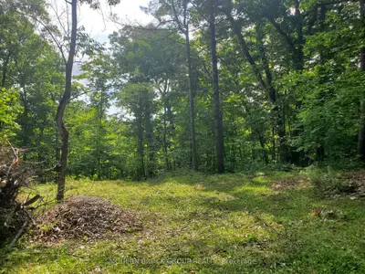 Vacant Land in Rideau Lakes
