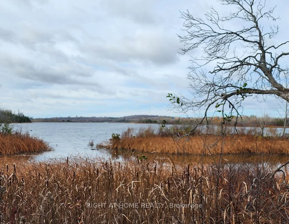 0 Park Drive, Kawartha Lakes, On K0l 2w0