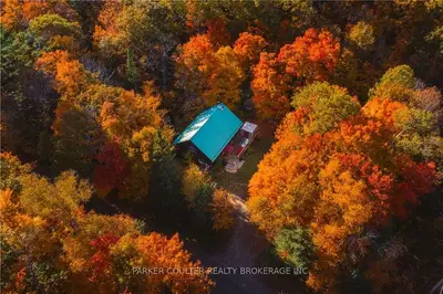 1046 Pine Springs Road, Minden Hills, On K0m 2k0