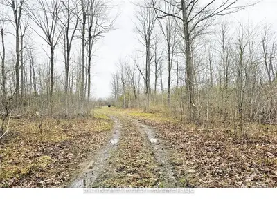14391 County 15 Road, Merrickville-wolford, On K0g 1n0