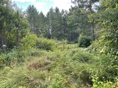 Vacant Land in St. Charles
