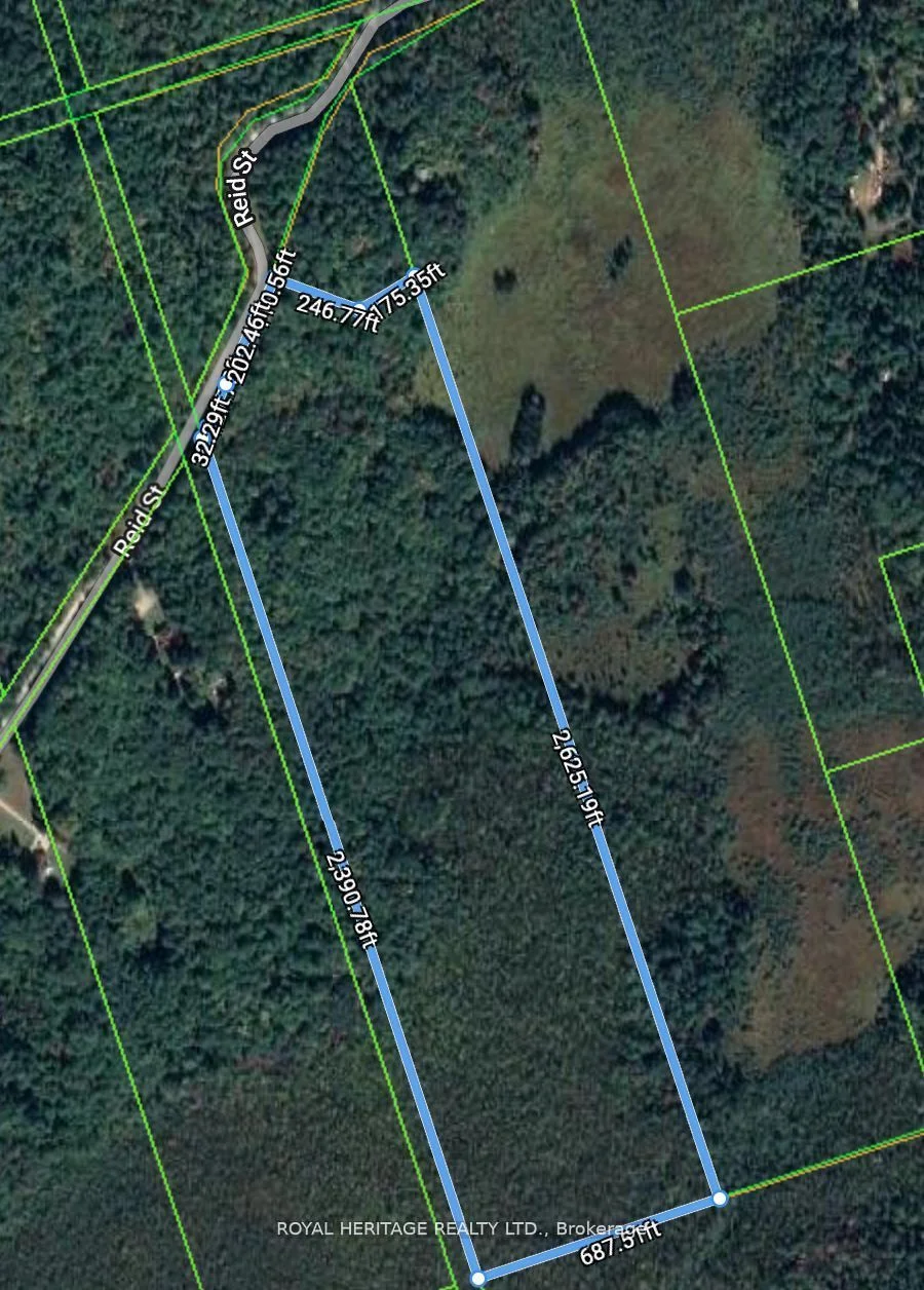 0C Reid Street, Trent Lakes, ON K0M 2A0