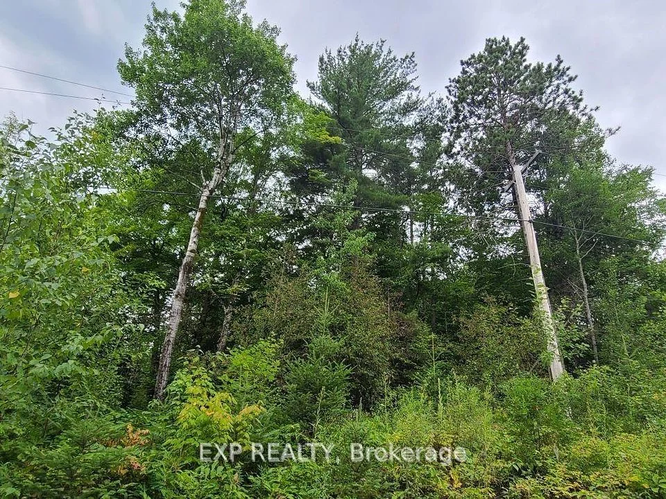 20 Peplinski Homestead Road, Madawaska Valley, ON K0J 2N0