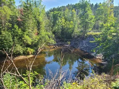 Vacant Land in Madawaska Valley