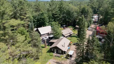 Detached in Lake of Bays