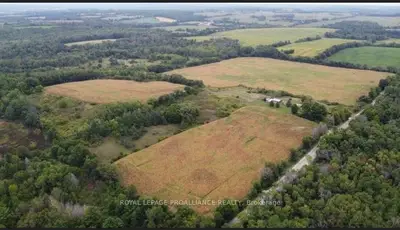 399 Dawson Road, Cramahe, On K0k 1m0