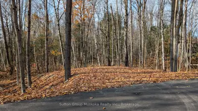 Lot 2 Tally-ho Winter Park Road, Lake Of Bays, On P1h 2e5