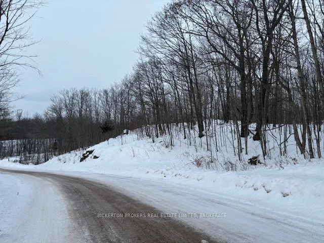 Vacant Land in Rideau Lakes