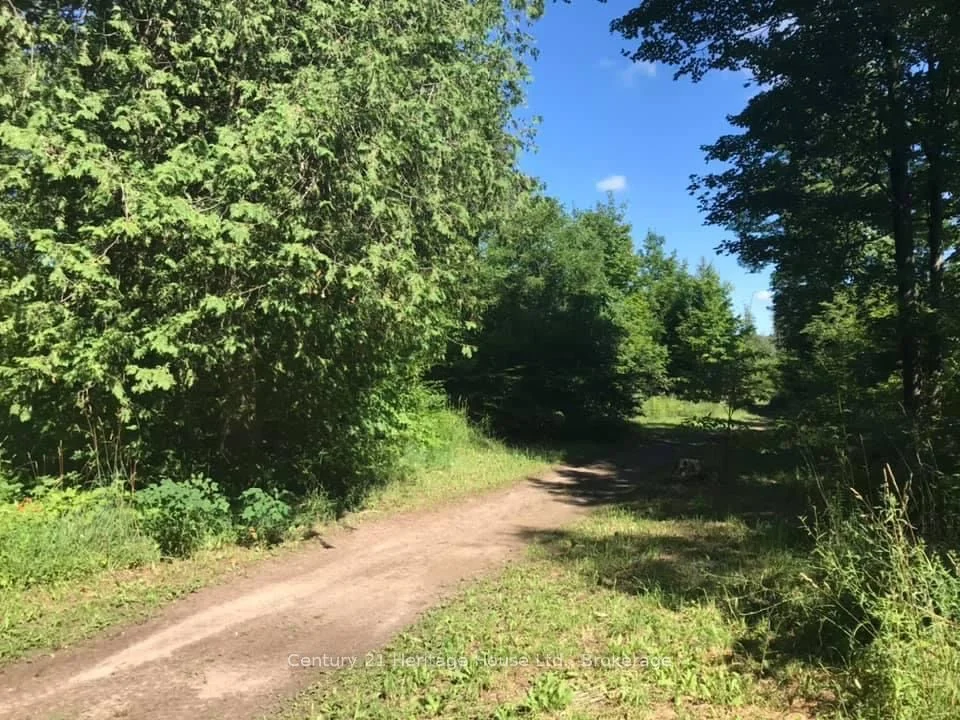 0 Pt Lt 48 Con 3 Egr Acres N, West Grey, ON N0C 1K0