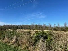 N1/2lte Concession 10 Bruce, Kincardine, On, N0h 2c5