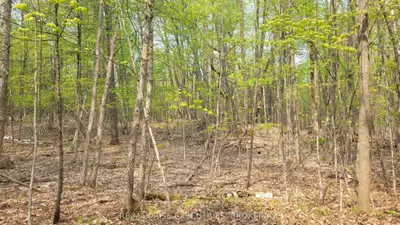 Vacant Land in Rideau Lakes