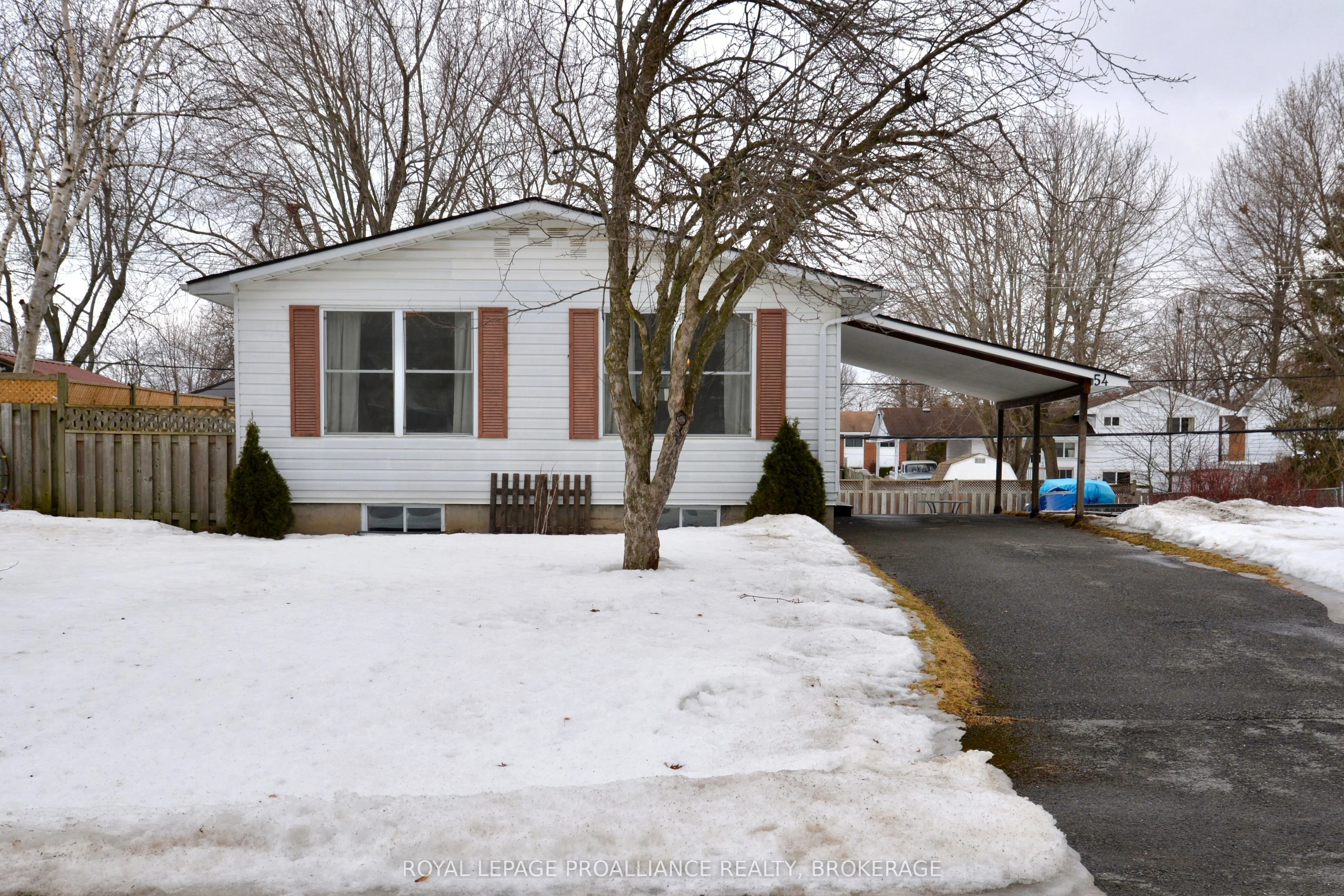 Detached in Loyalist