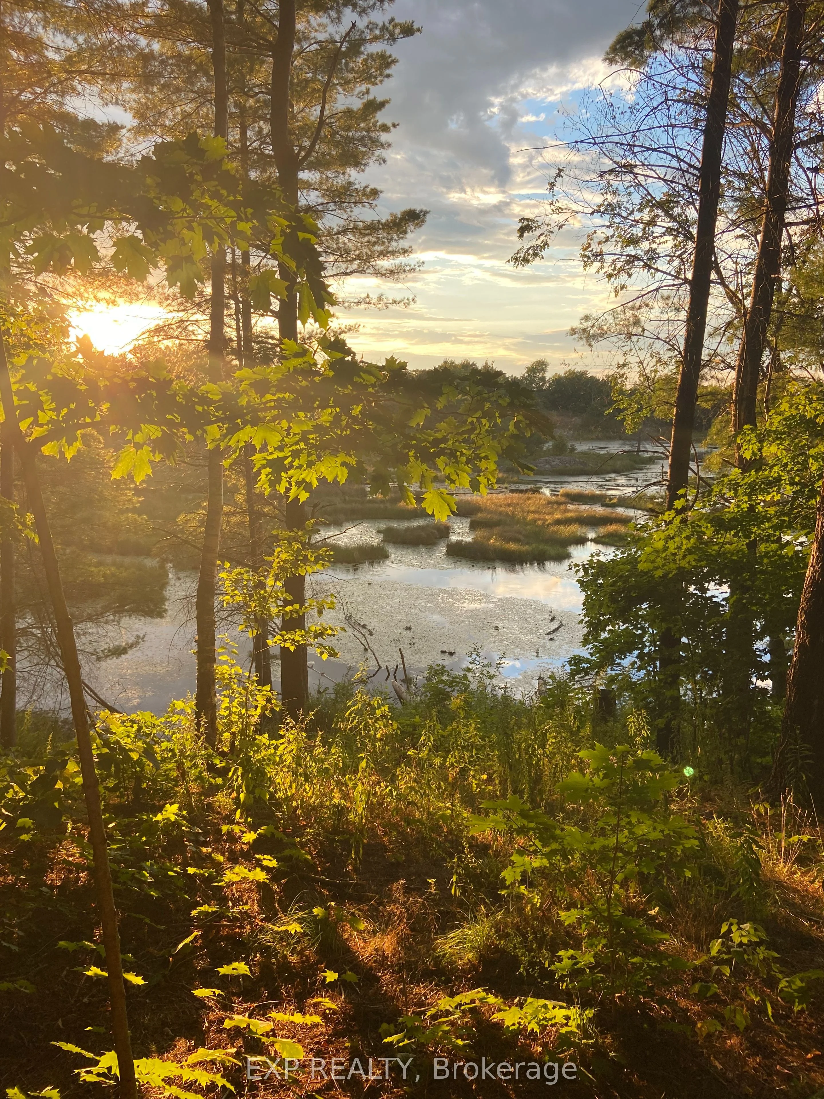 Vacant Land in Stone Mills