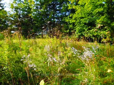 Vacant Land in North Glengarry