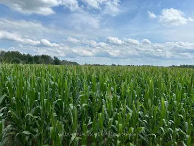 1210 Pelton Road, North Grenville, On K0g 1j0