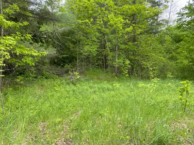 1915 County Road 48 Road, Havelock-belmont-methuen, On K0l 1z0
