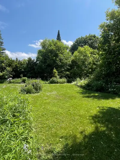 Vacant Land in Owen Sound