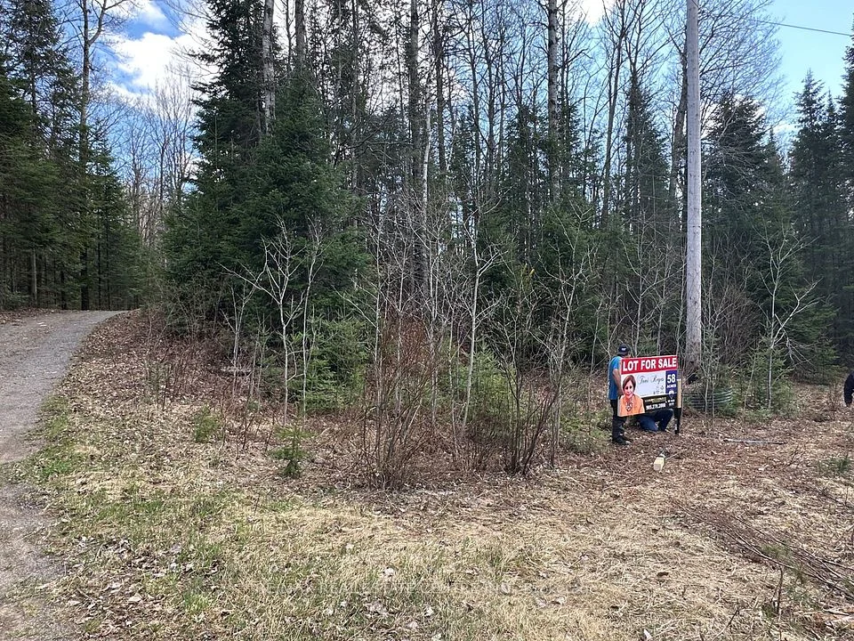 CONC 22 PT LOT 12 , Highlands East, ON K0L 3C0