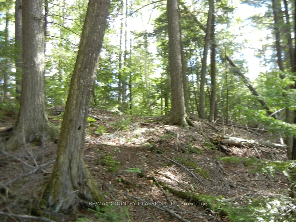 0 Glen Alda Road, North Kawartha, On K0l 1a0