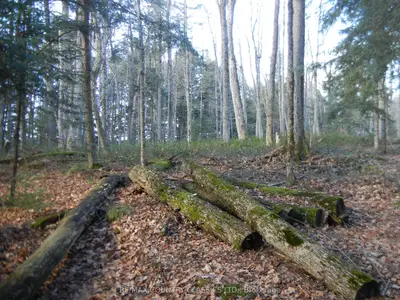 Vacant Land in North Kawartha
