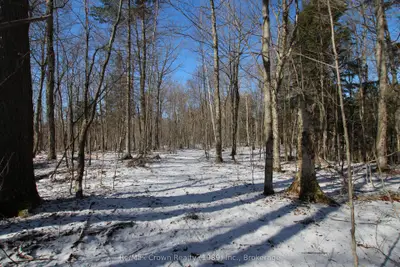 0a Hwy 522 Highway, Parry Sound Remote Area, On P0h 2r0
