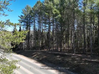 Vacant Land in Minden Hills