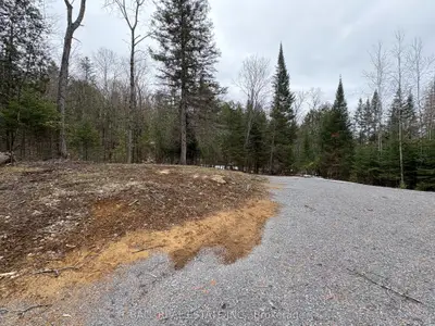Vacant Land in Wollaston