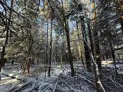 27 Old Nipissing Road N Road, Parry Sound Remote Area, ON P0H 1J0