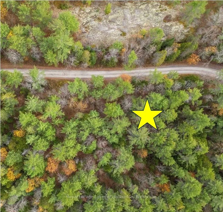 Vacant Land in Trent Lakes
