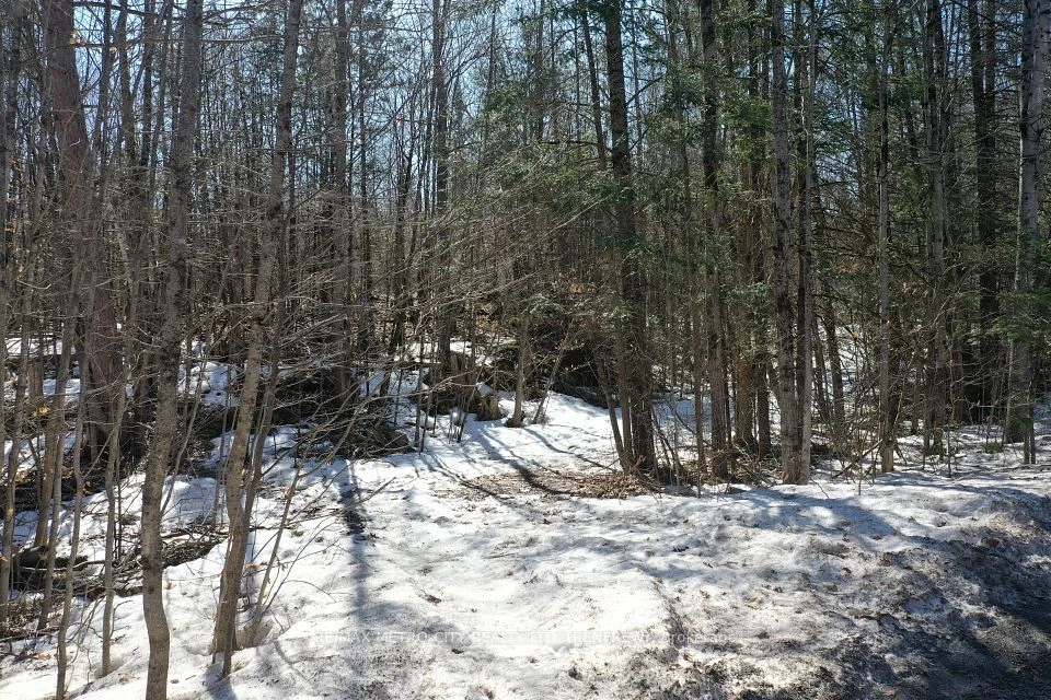 835 Ferguslea Road, Admaston/Bromley, ON K7V 3Z7