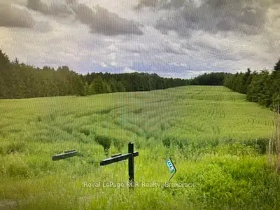 Vacant Land in Mapleton