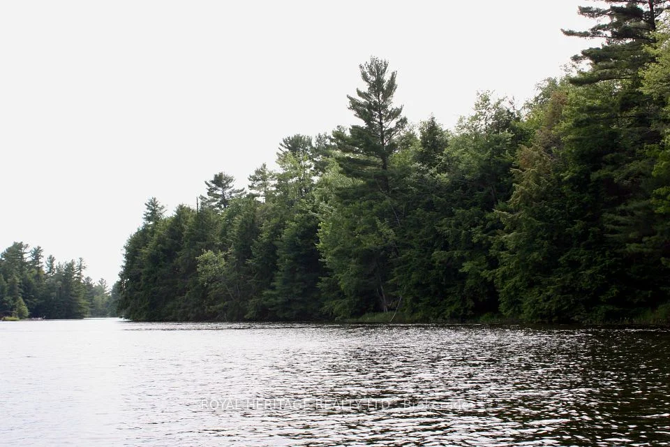 -WAO Kasshabog Lake LOT 4, Havelock-Belmont-Methuen, ON K0L 2H0