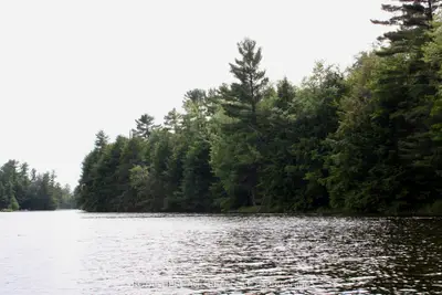Vacant Land in Havelock-Belmont-Methuen