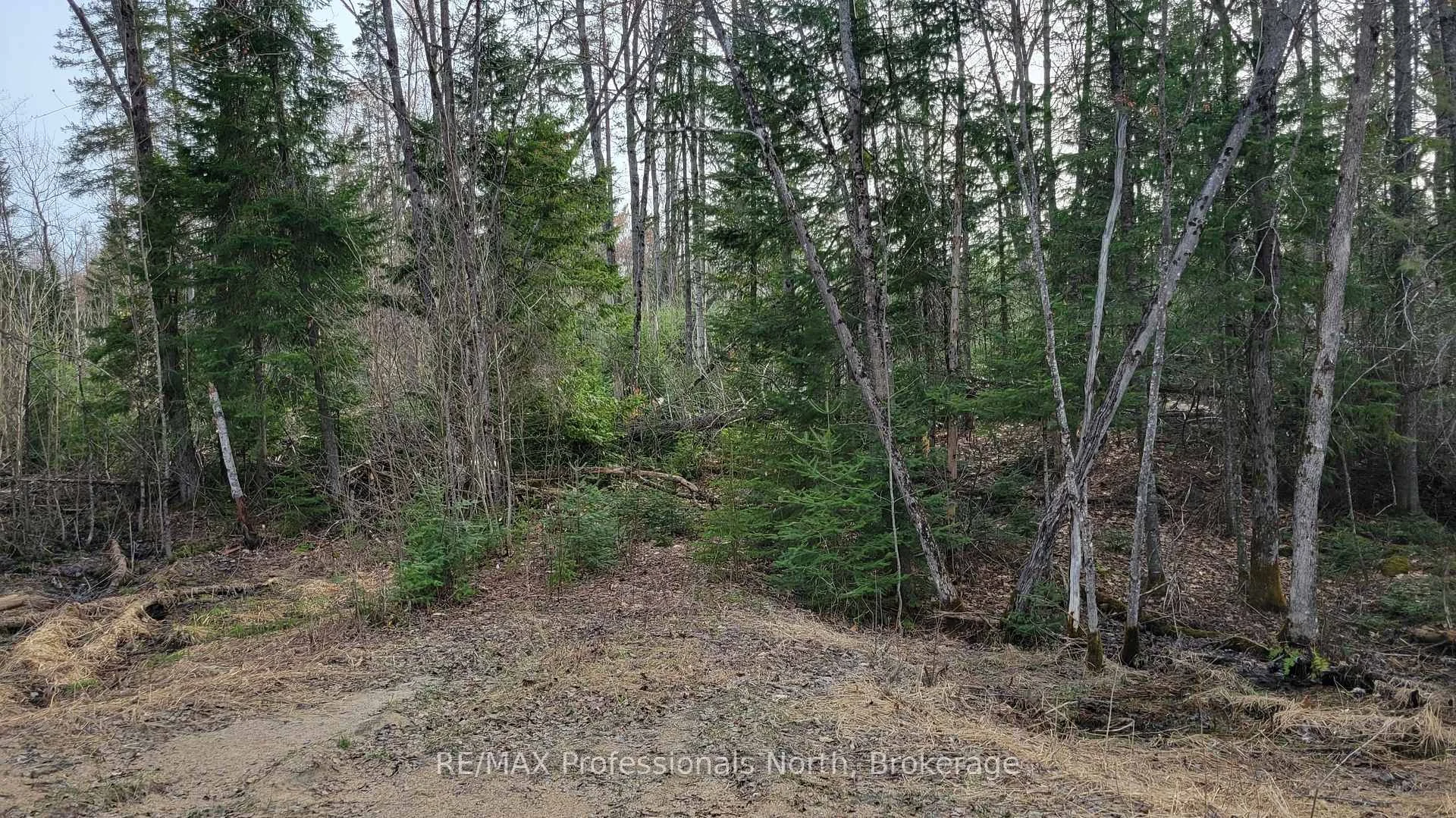 PCL 20438 & 29803 Upper Walker Lake Rd Road, Lake of Bays, ON P1H 2J6