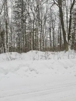 Vacant Land in Highlands East