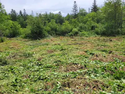 12706 Addington Road 2, Addington Highlands, On, K0h 2g0