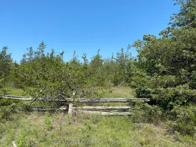 Vacant Land in Prince Edward County