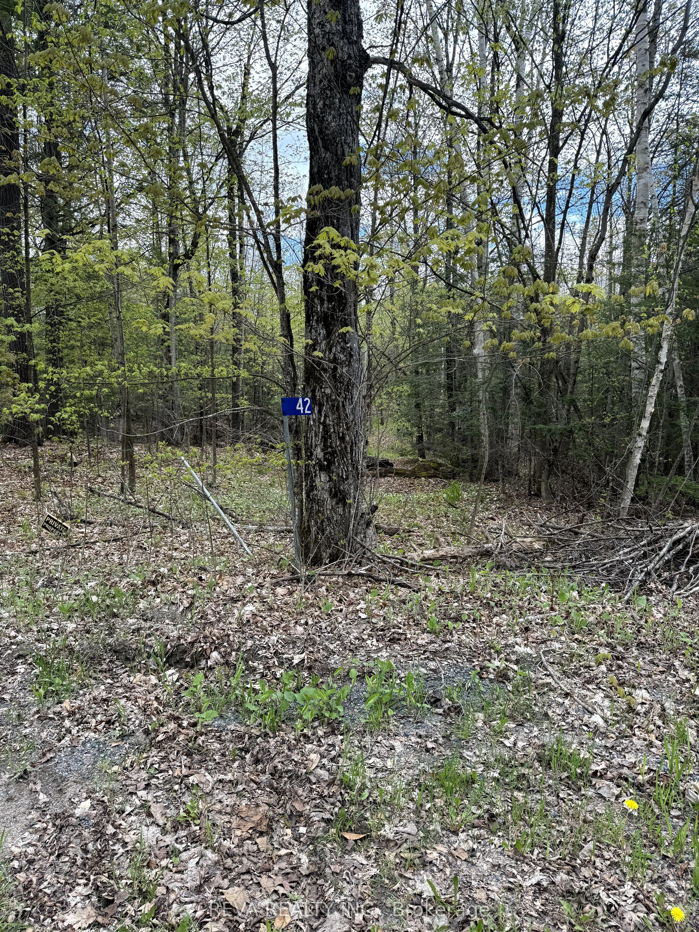 42 Clear Lake Court, Marmora And Lake, On K0l 1w0