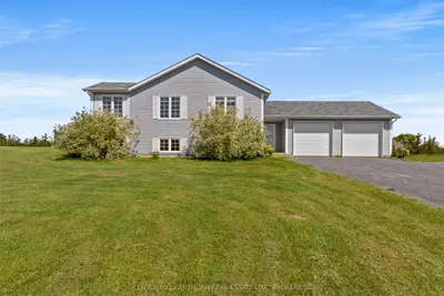 Detached in Loyalist