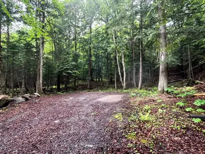 Vacant Land in Minden Hills