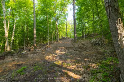Vacant Land in Seguin