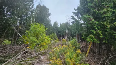 Vacant Land in Northern Bruce Peninsula