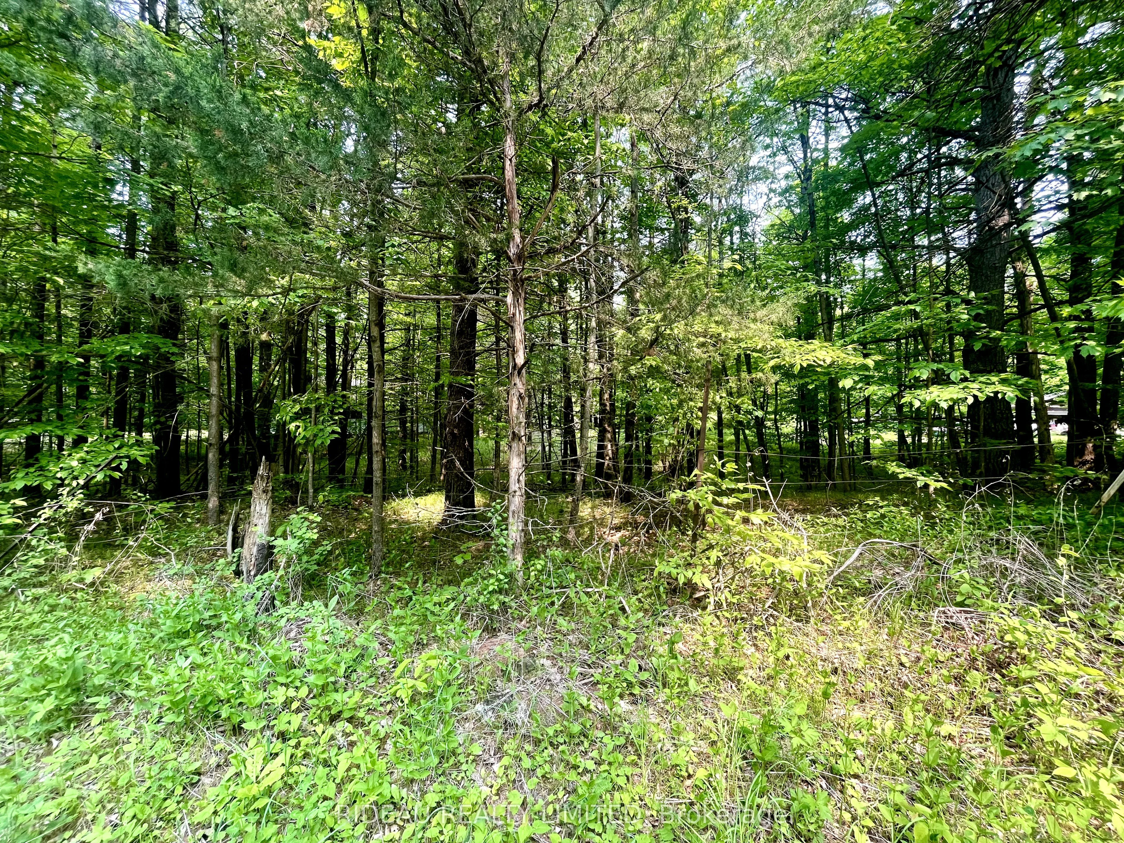 P7 Clear Lake Road, Rideau Lakes, On K0g 1e0