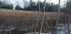 7500 Springhill Road, Greely - Metcalfe - Osgoode - Vernon and Area, ON K0A 2P0