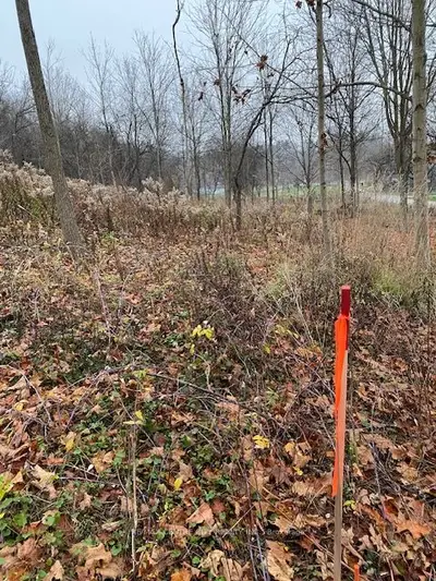 Vacant Land in Bayham