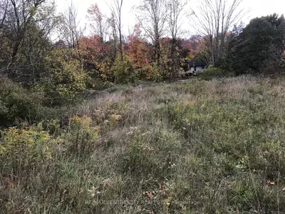 Vacant Land in Bayham